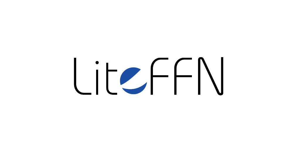 LiteFFN post header image